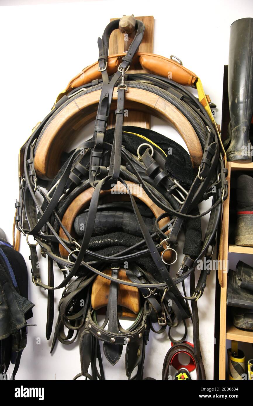 Close up of accessories in a tack room at rural riding school. Storage