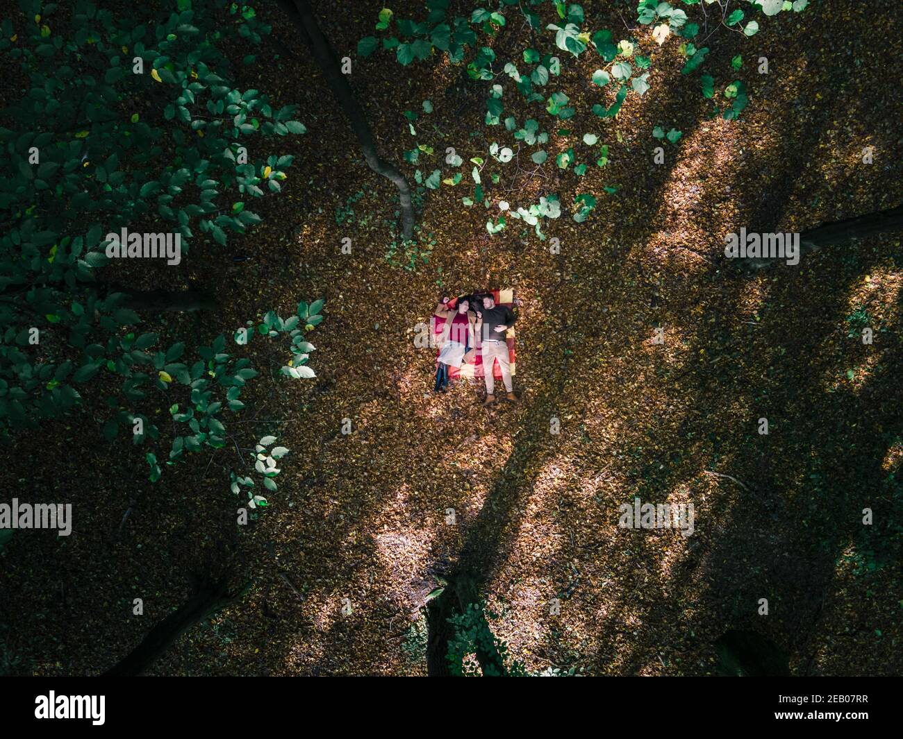loving couple laying down on blanket in the middle of the forest