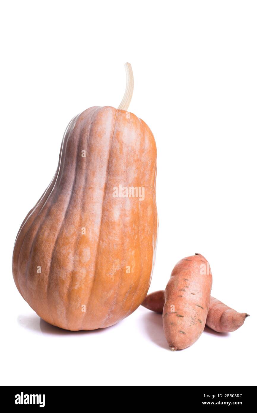 Whole pumpkin with two sweet potatoes roots isolated on a white. Stock Photo