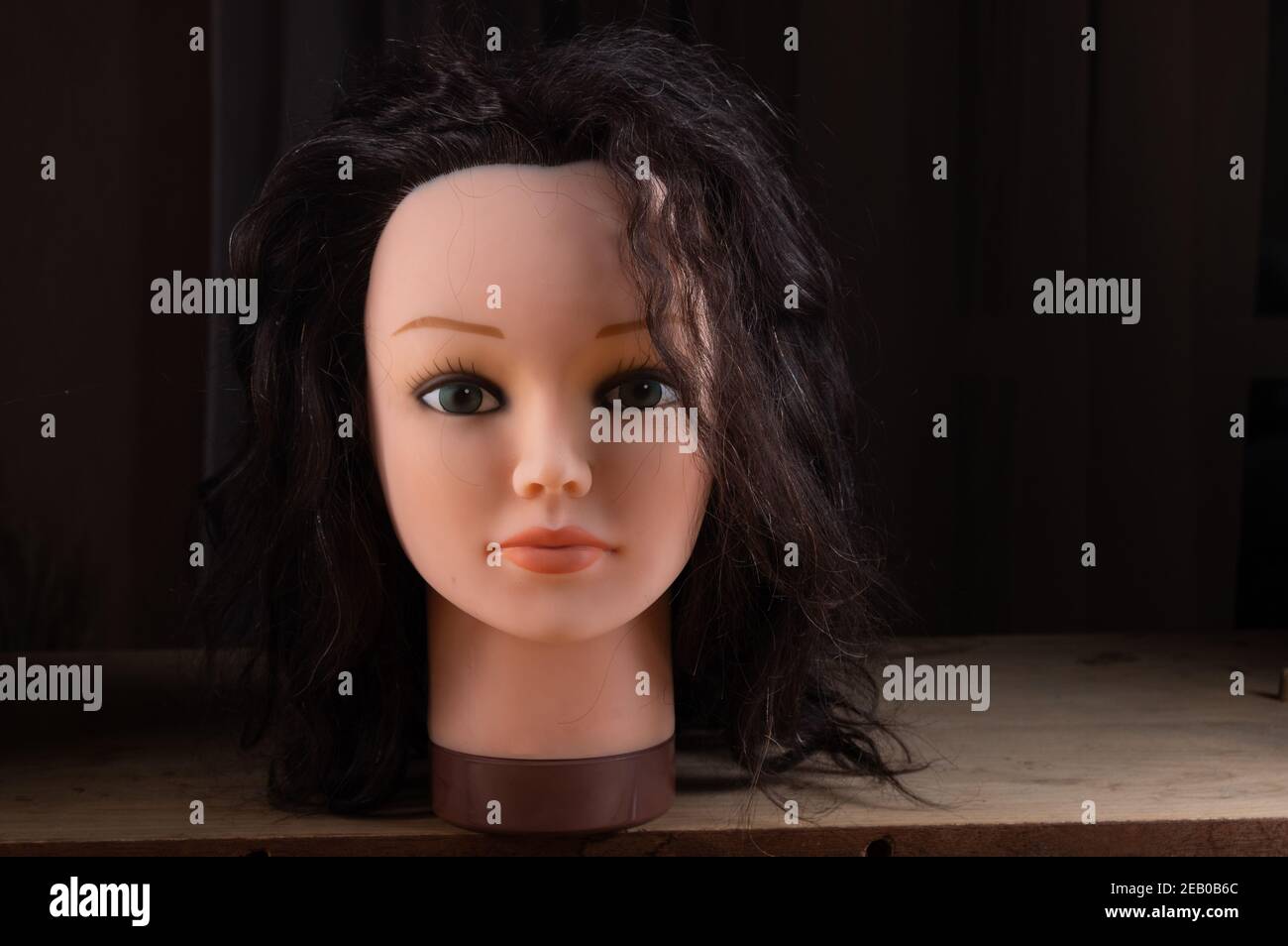 Mannequin of a female head. Doll head with hair. Female doll with green eyes. Brunette doll. Stock Photo