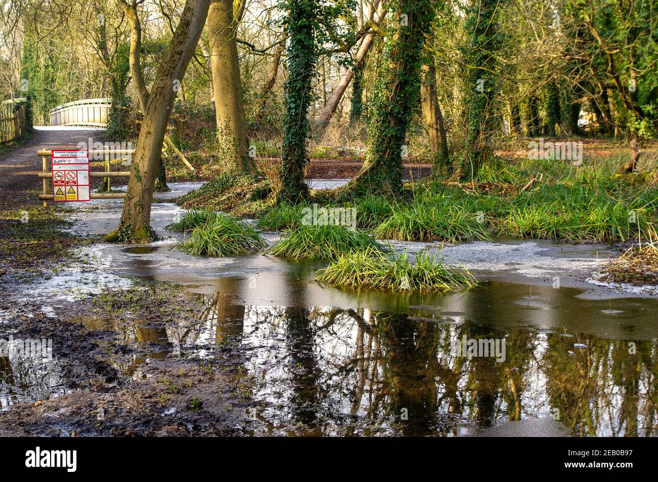Denham, Buckinghamshire, UK. 11th February, 2021. Frozen water in Denham Country Park. Following recent heavy rainfall the River Colne in Denham Country Park has burst its banks. Due to sustained freezing temperatures, both patches of snow and flooding remain in parts of the park. Credit: Maureen McLean/Alamy Live News Stock Photo