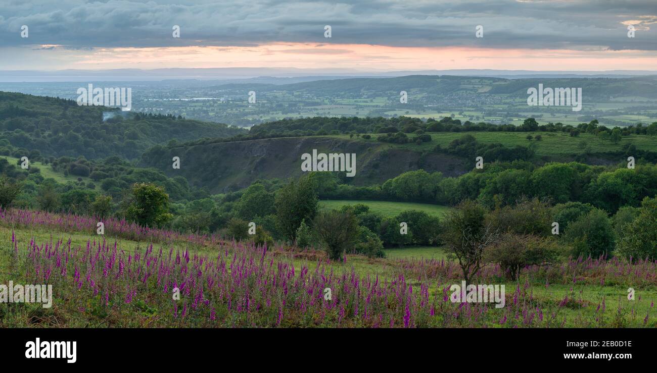View over Burrington Combe from Black Down in the Mendip Hills