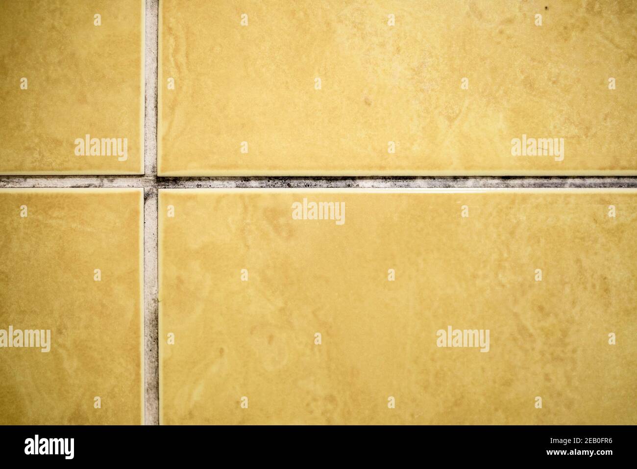 Mold between ceramic tiles in the bathroom Stock Photo