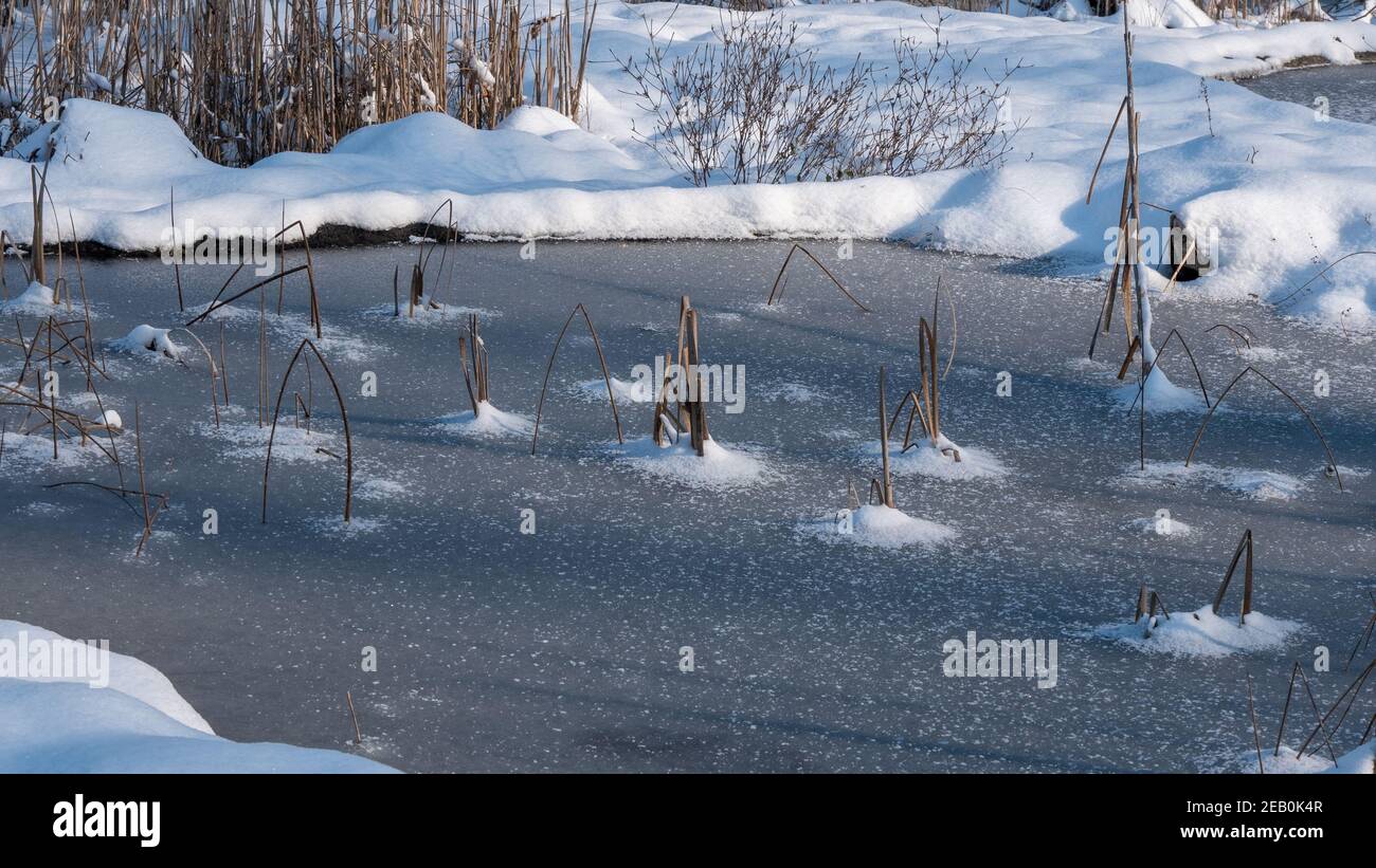 Cold sunny hi-res stock photography and images - Alamy