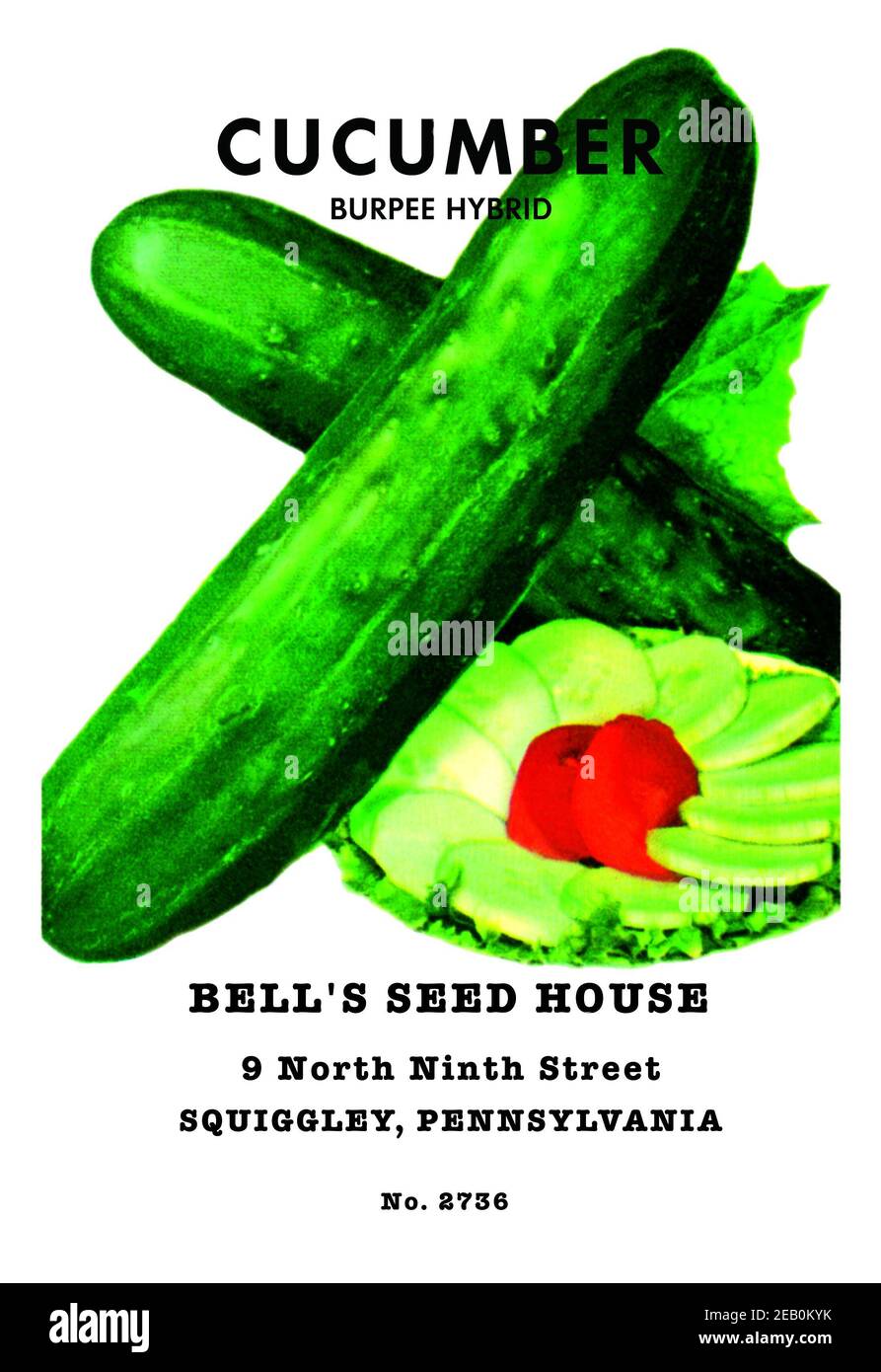 Cucumber Burpee Hybrid Stock Photo Alamy