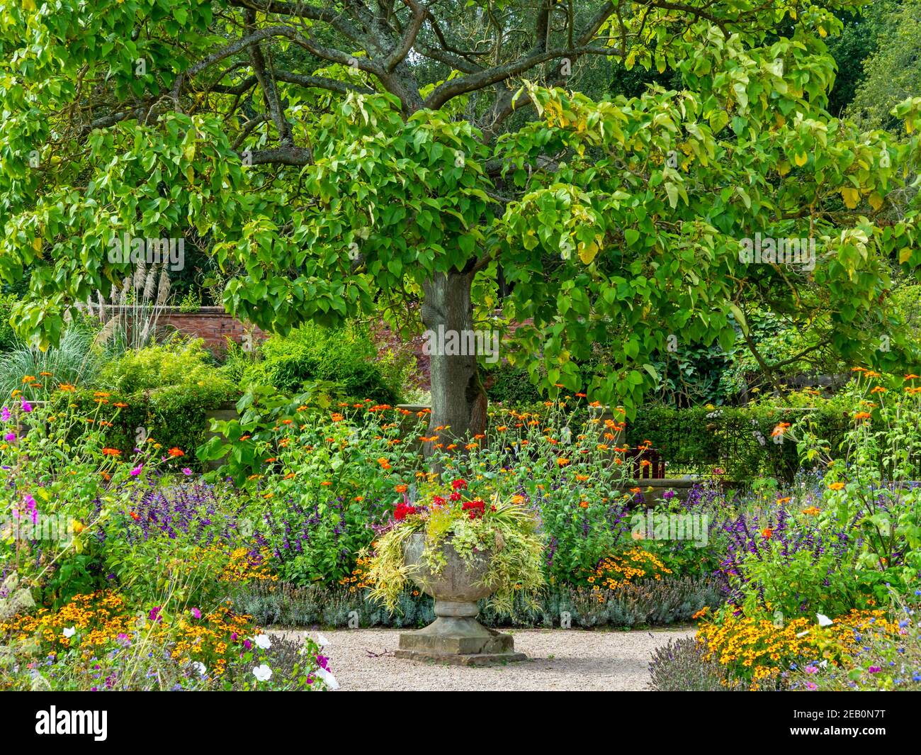 Old english roses hi-res stock photography and images - Alamy