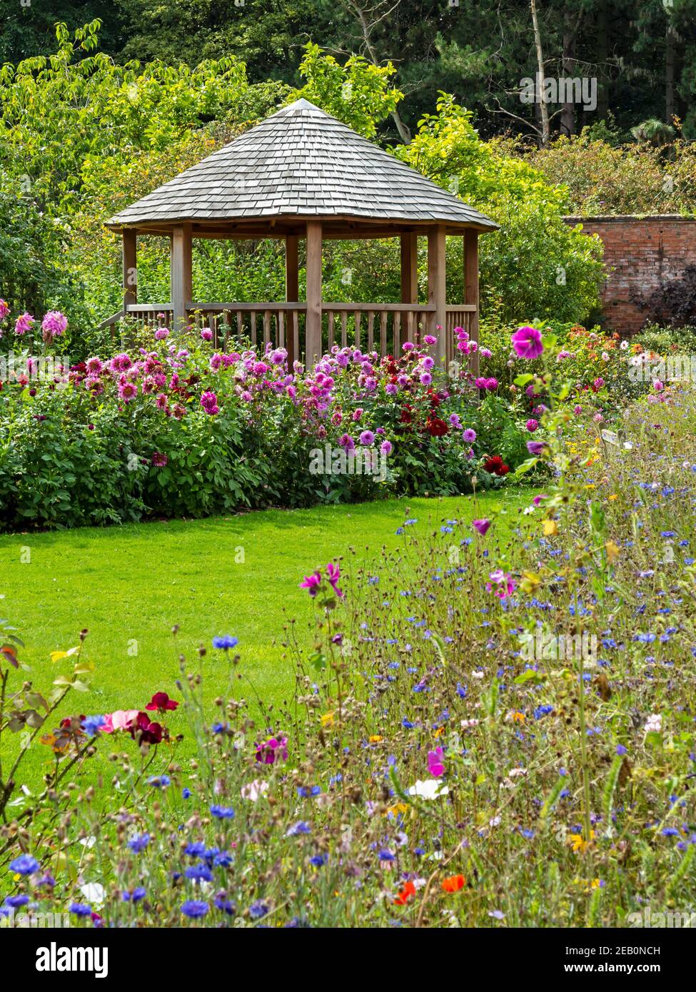 Old english roses hi-res stock photography and images - Alamy