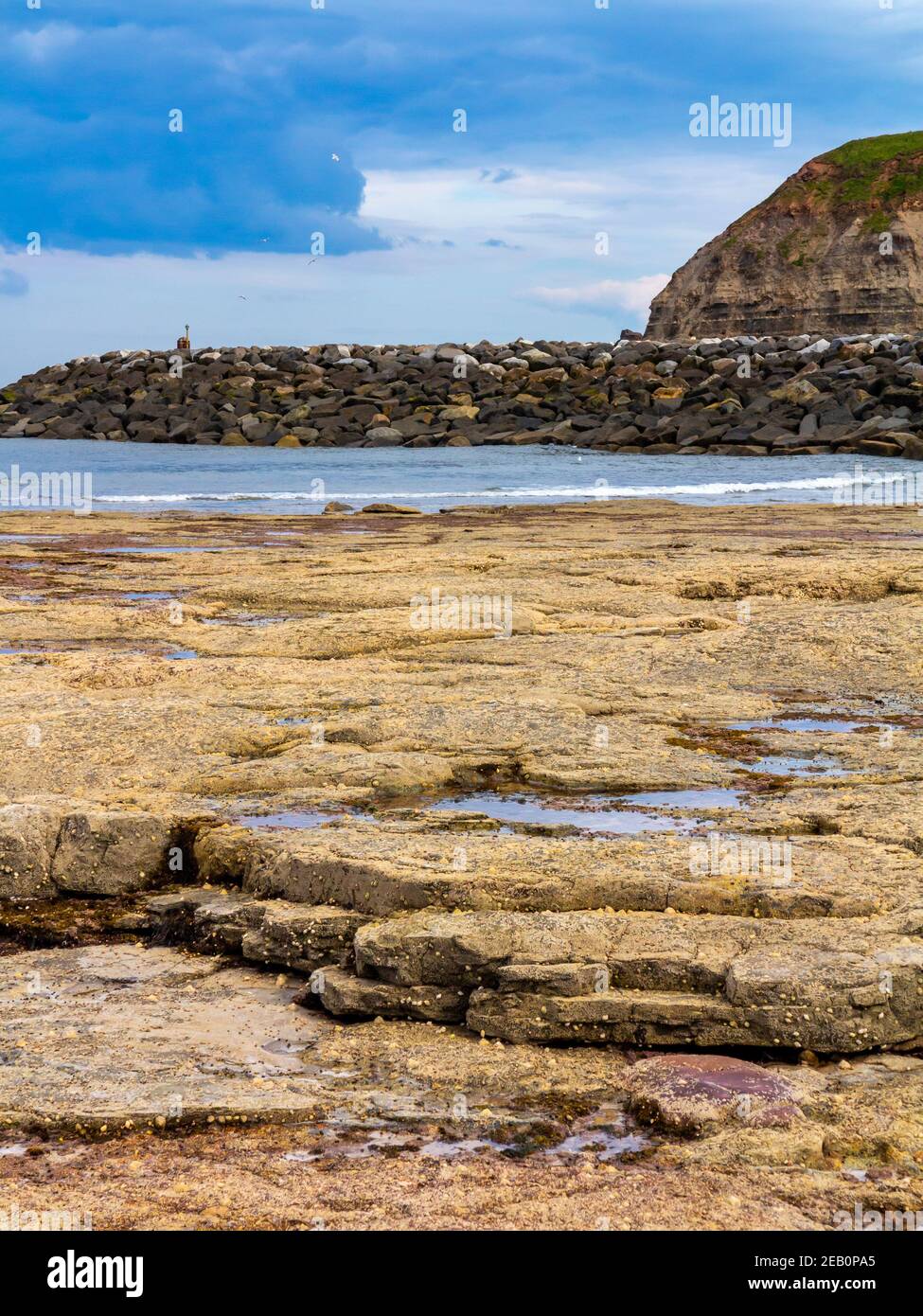Rock pools on the beach at Staithes a village on the North Yorkshire coast in north eastern England UK Stock Photo