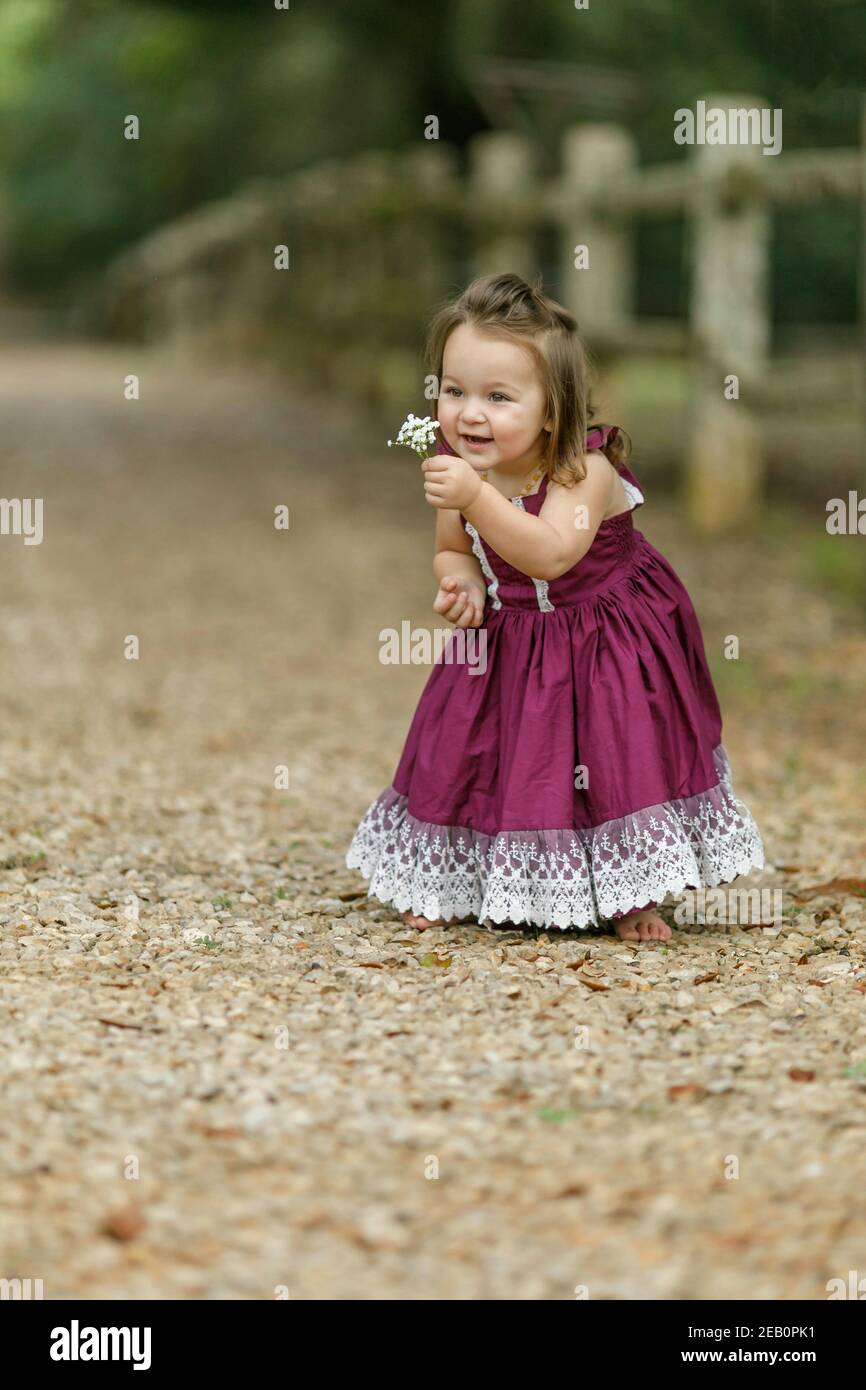 Beautiful two year old girl with a purple dress offering up some flowers Stock Photo