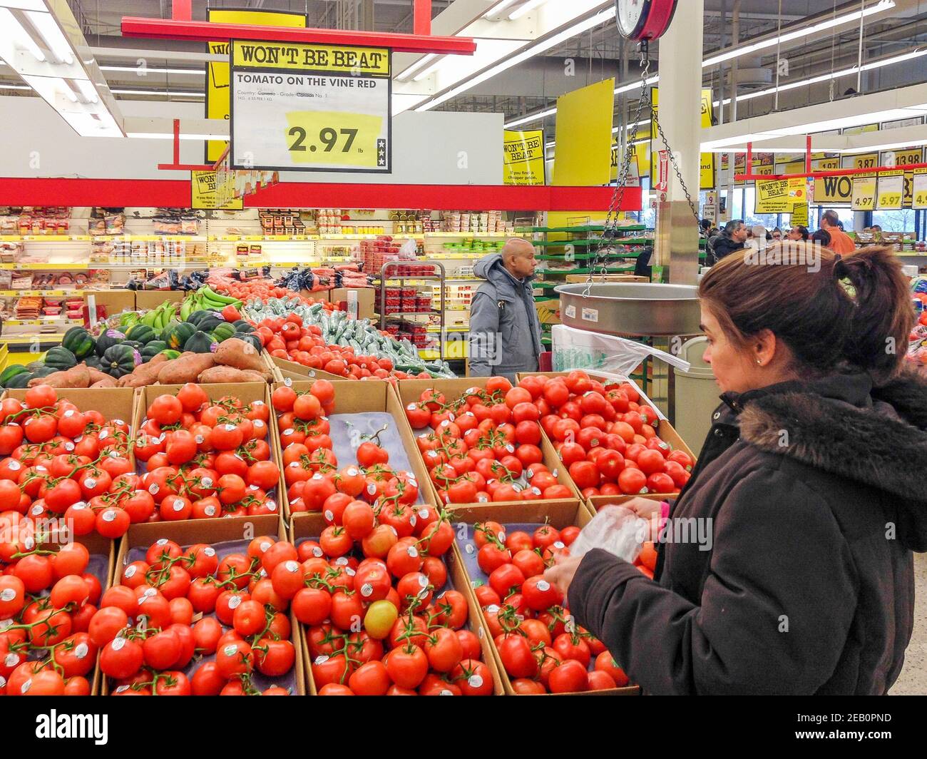 Latin American woman buying tomatoes at a Nofrills store Stock Photo