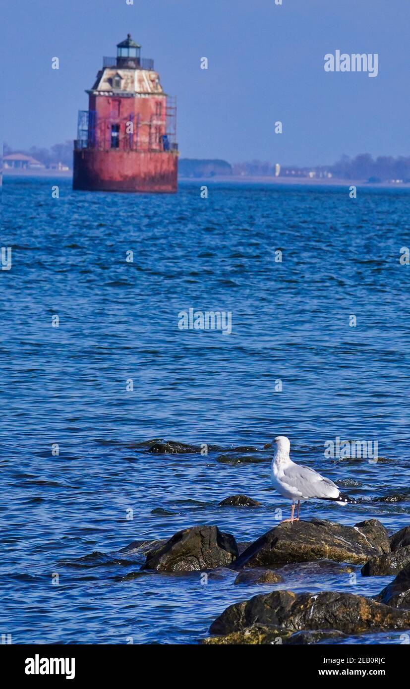 Sandy Point Shoal lighthouse on the Chesapeake bay Stock Photo Alamy
