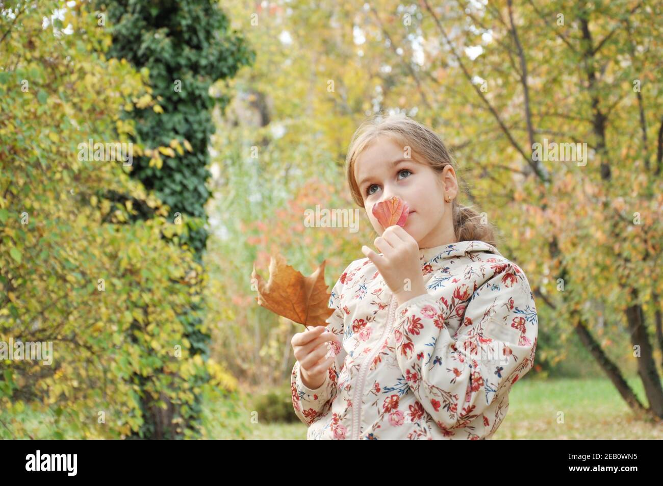 White Caucasian child, girl (kid), happy in the park, looking up and smelling a dried autumn leave. Stock Photo