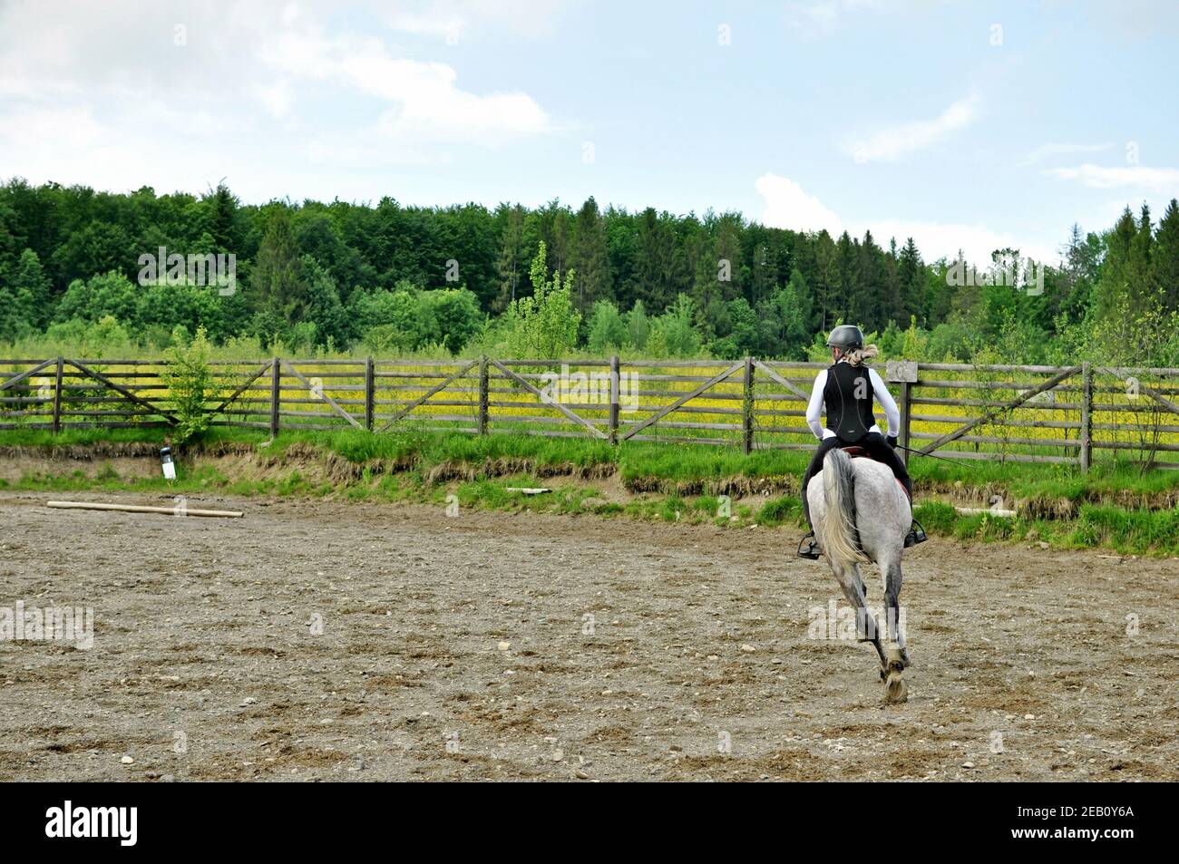 Woman jockey riding a white horse at a farm. Stock Photo