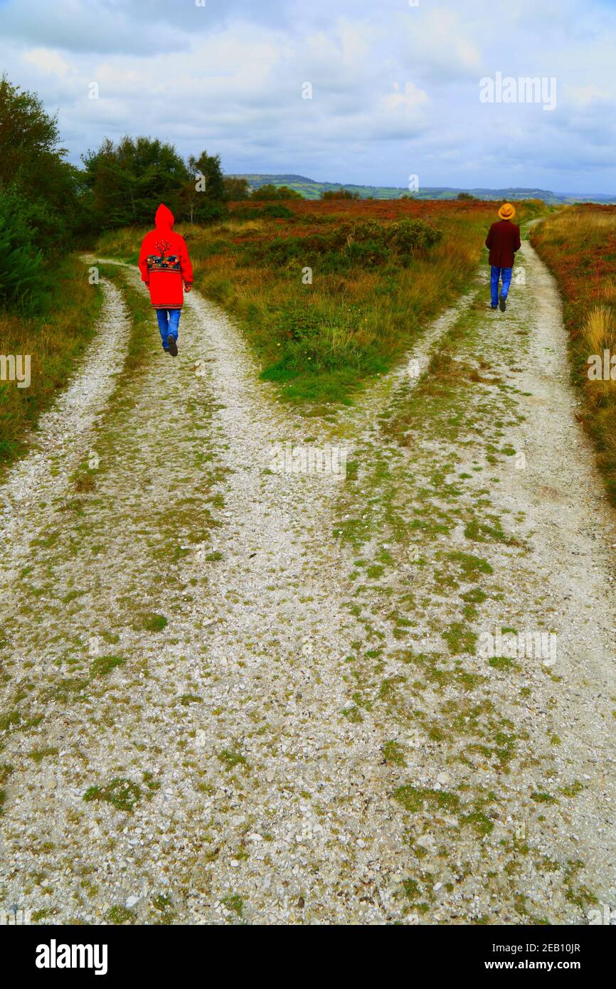 People  walking on a macadam road in different directions Stock Photo