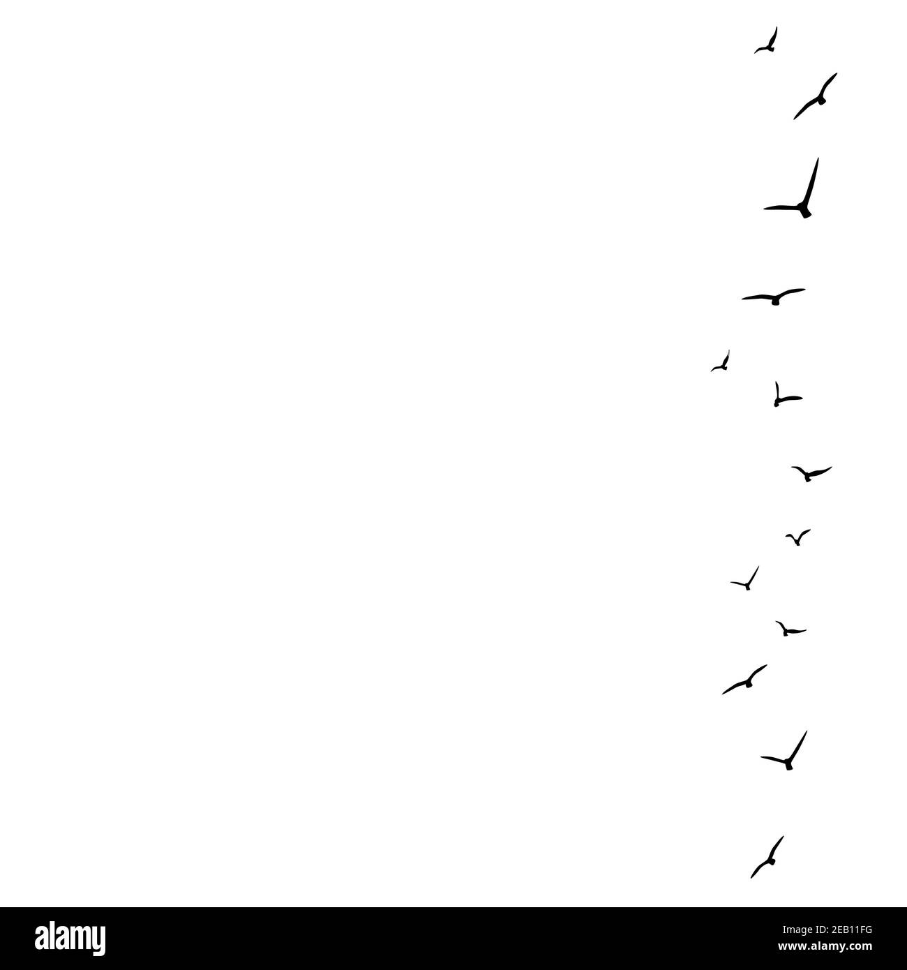 vector background with flying birds on the right side. Black swallows in the sky on white background. Bird trace. Freedom, romantic, dreams, lyric Stock Vector