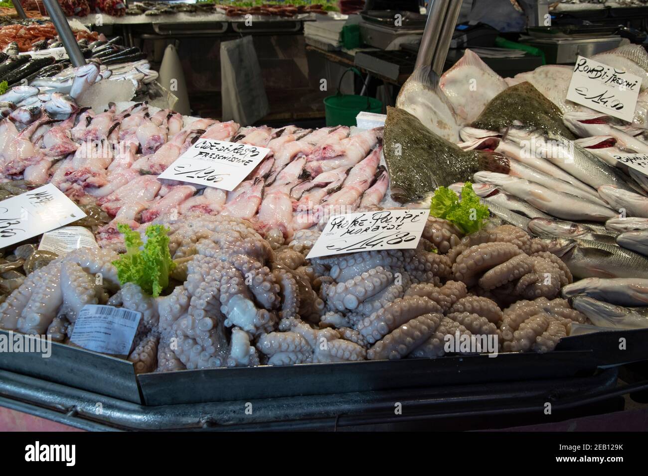 Rialto fish market in the city of Venice, Italy, Europe. Stock Photo