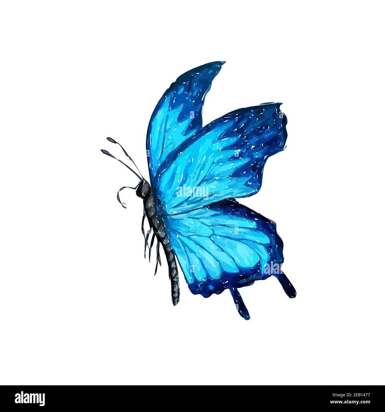 Hand drawn watercolor colorful illustration of dark and light blue