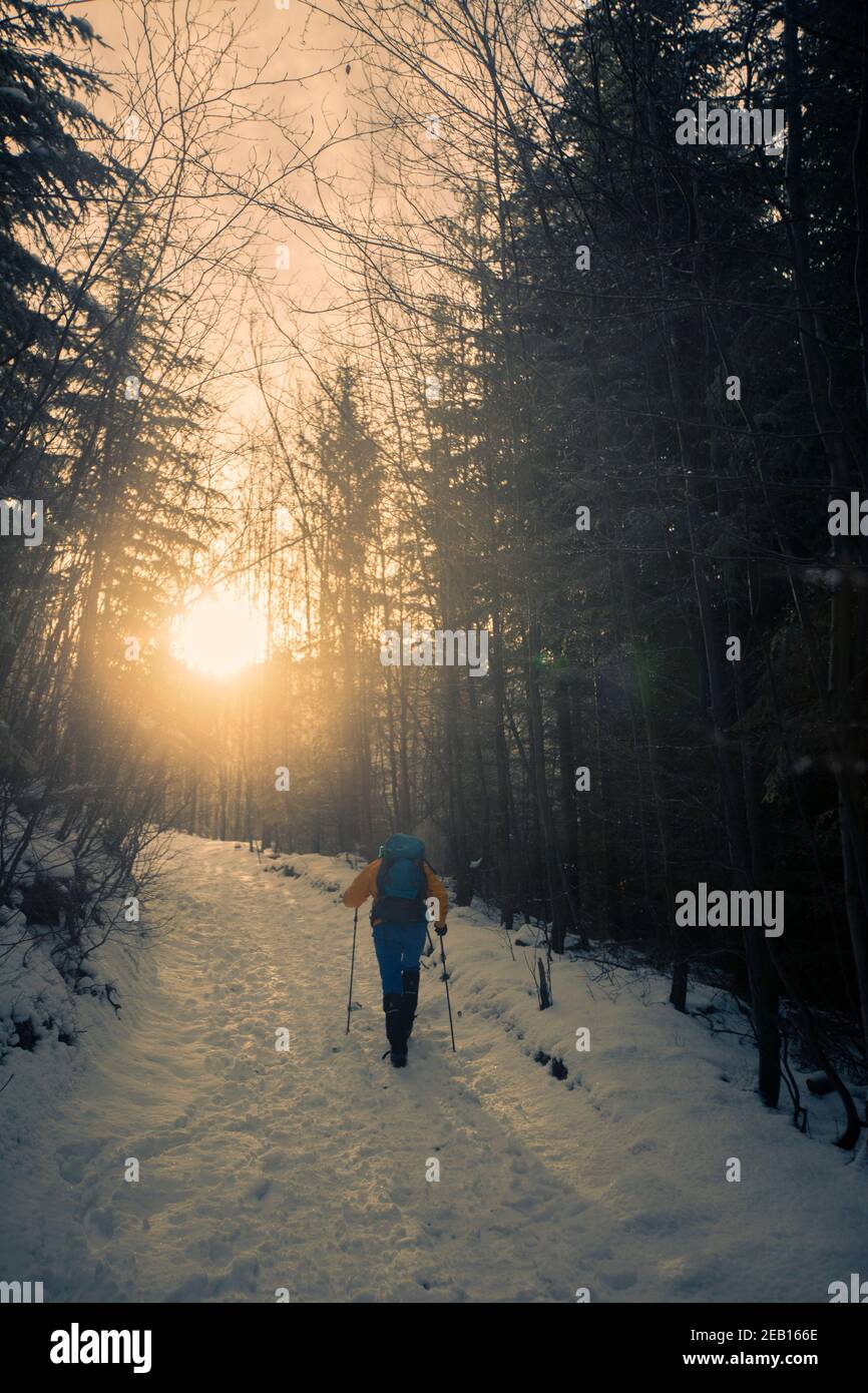 Man Hiking in winter Stock Photo