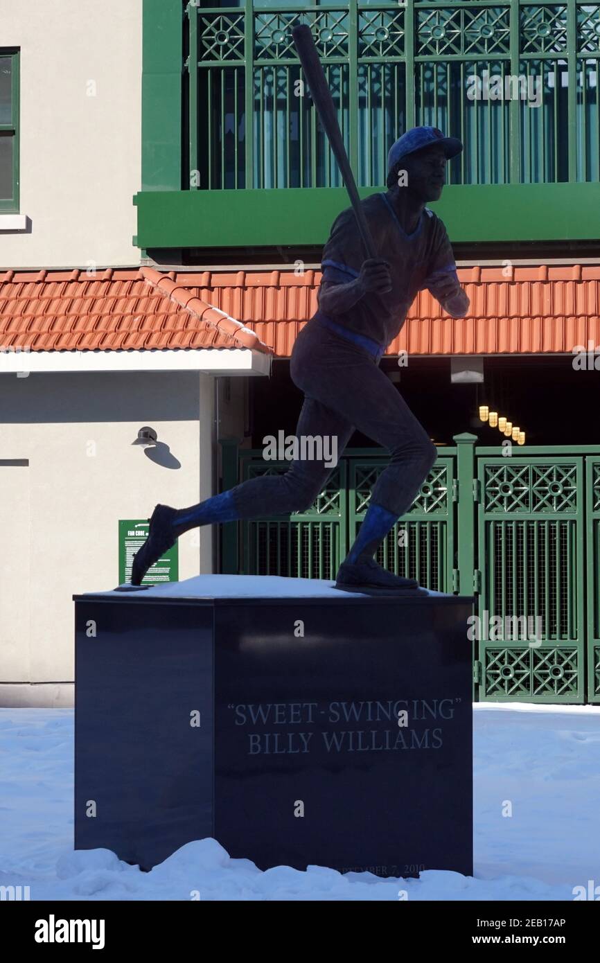 A statue of former Chicago Cubs left fielder Billy Williams at Wrigley Field, Sunday, Feb. 7, 2021, in Chicago. Stock Photo