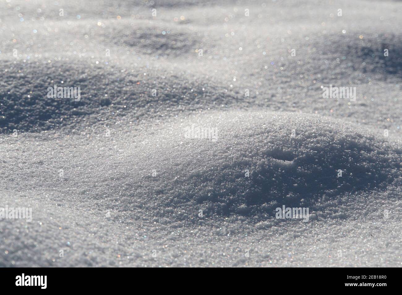 Only pure white snow. A untouched snow carpet covering everything. Snow sparkles Stock Photo