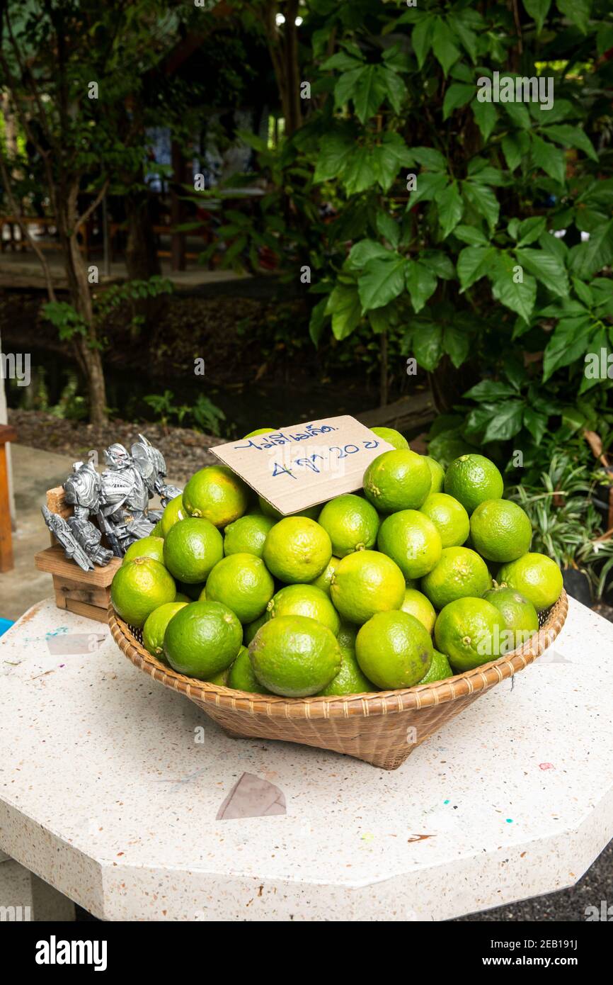 Limes for Sale at Bang Krachao Island Tourist Shop in Bangkok Stock