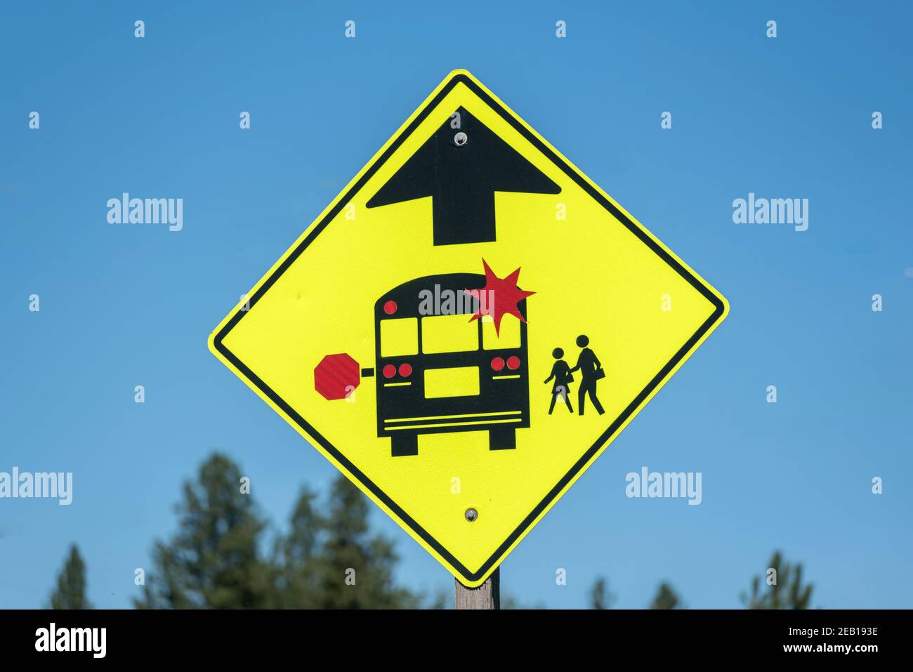 School bus usa stop hi-res stock photography and images - Alamy
