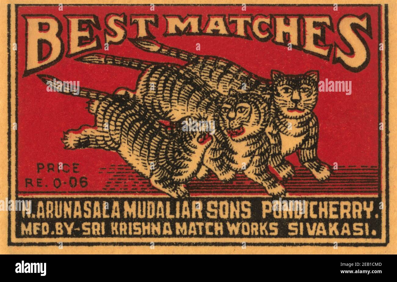 Three Tiger Best Matches Stock Photo Alamy