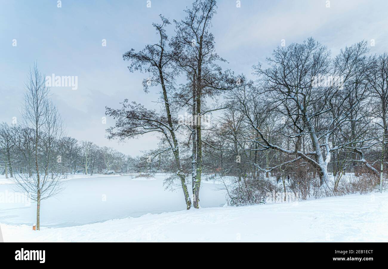 Wintereinbruch in Leipzig, sehr viel Schnee im Park Stock Photo