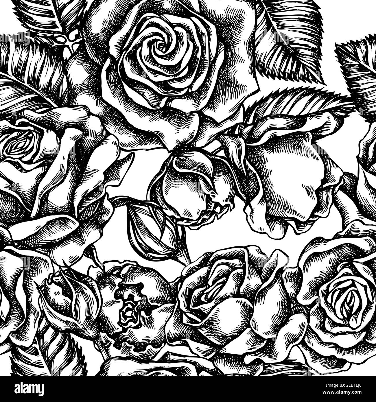 Seamless pattern with black and white roses Stock Vector Image & Art ...