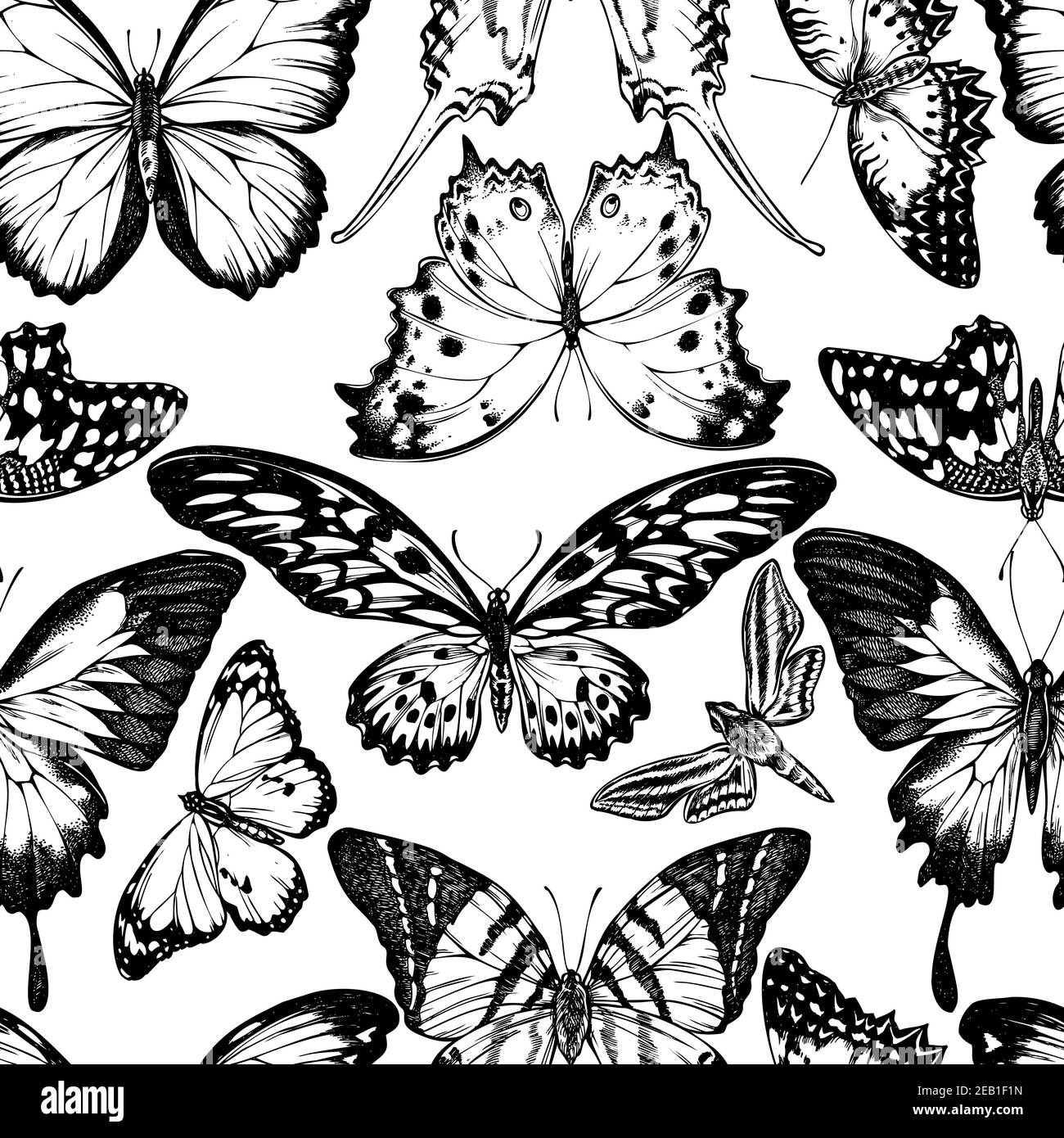 Seamless pattern with black and white giant swordtail, lemon butterfly, red lacewing, african giant swallowtail, white-banded hunter hawkmoth, forest Stock Vector