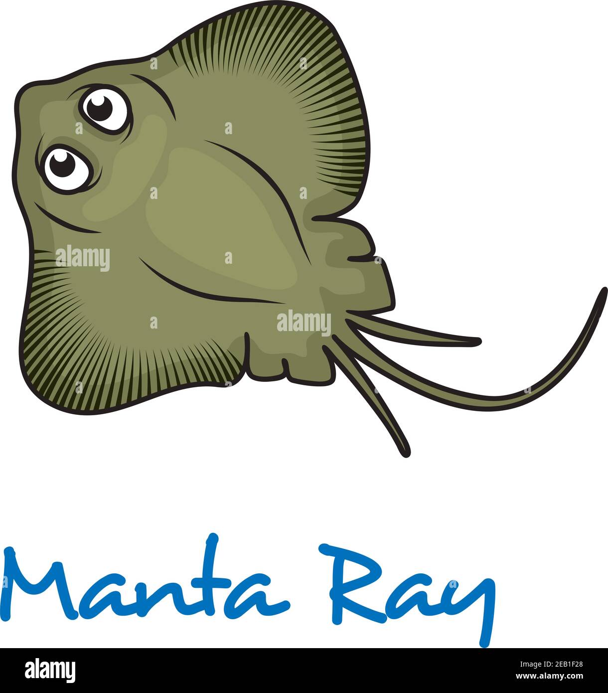 Cartoon manta ray viewed from above with large eyes and text Manta Ray below Stock Vector