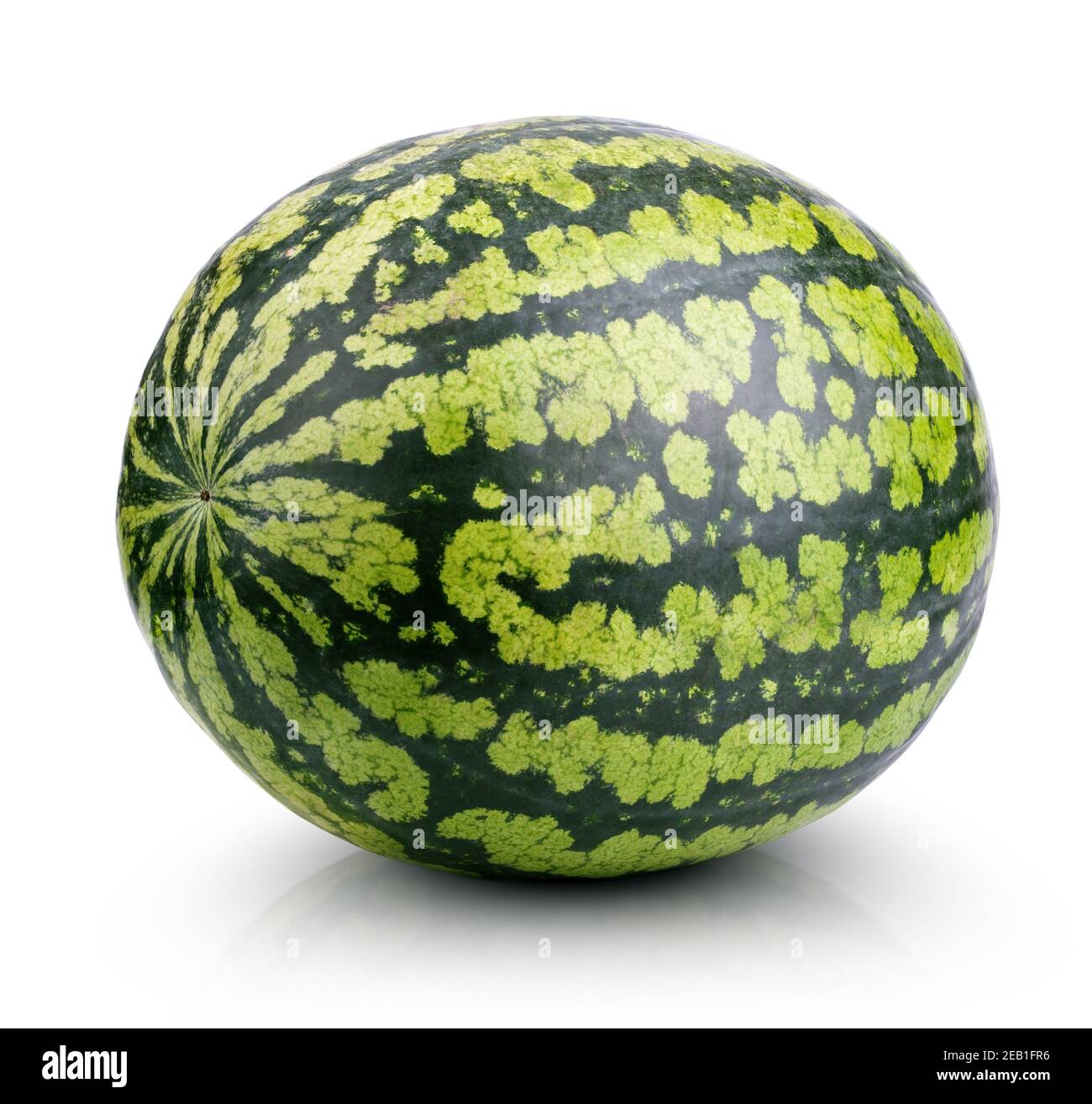 Single ripe watermelon isolated on white background with clipping path Stock Photo