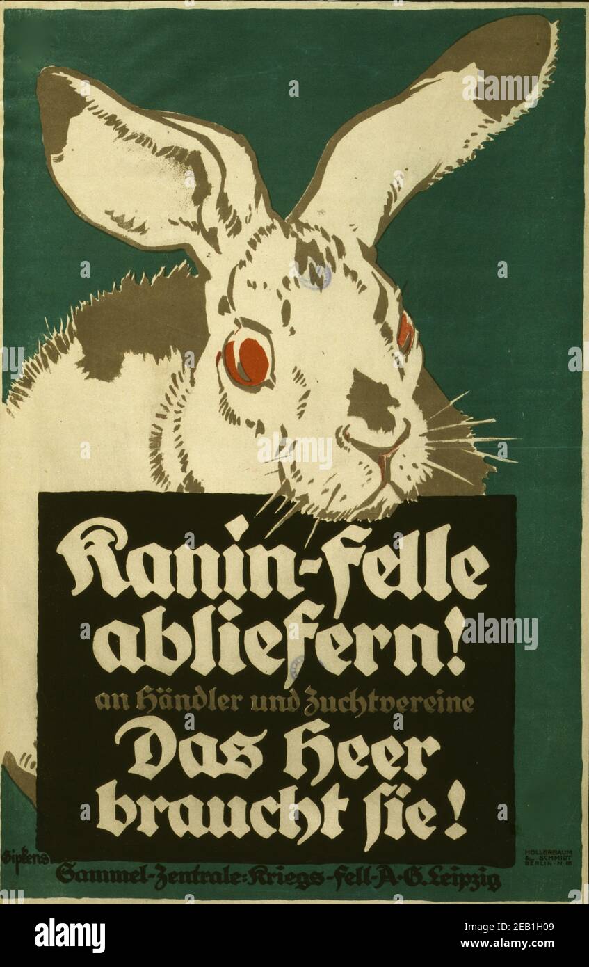 Kanin-felle abliefern! an Händler und Zuchtvereine. Das Heer braucht sie!;  turn in their rabbit pelts to traders and breeders; the Army needs them. Collection center, War Pelts  1917 Stock Photo