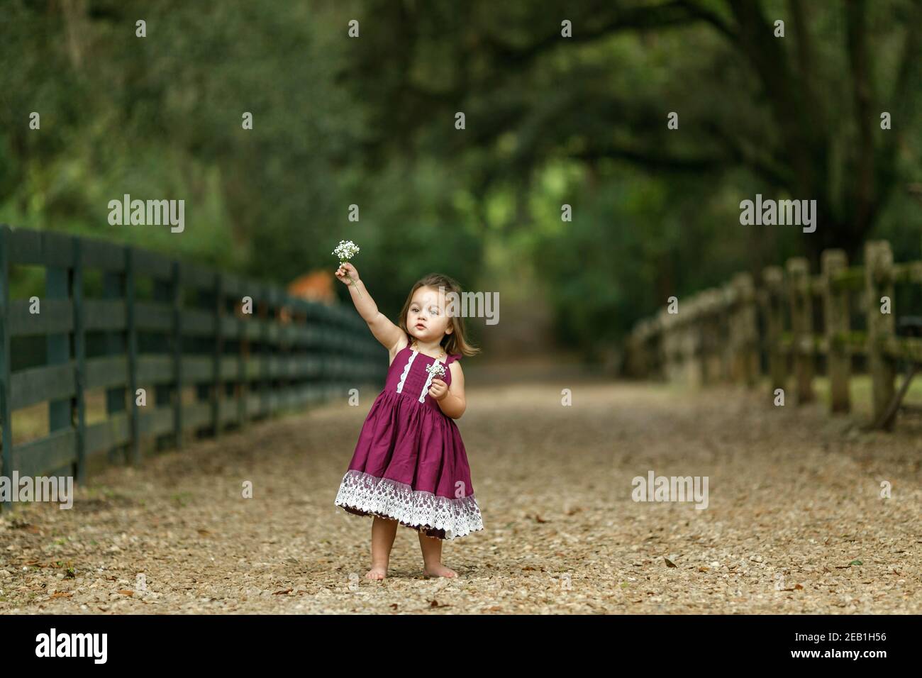 Beautiful two year old girl with a purple dress running and jumping with happiness Stock Photo
