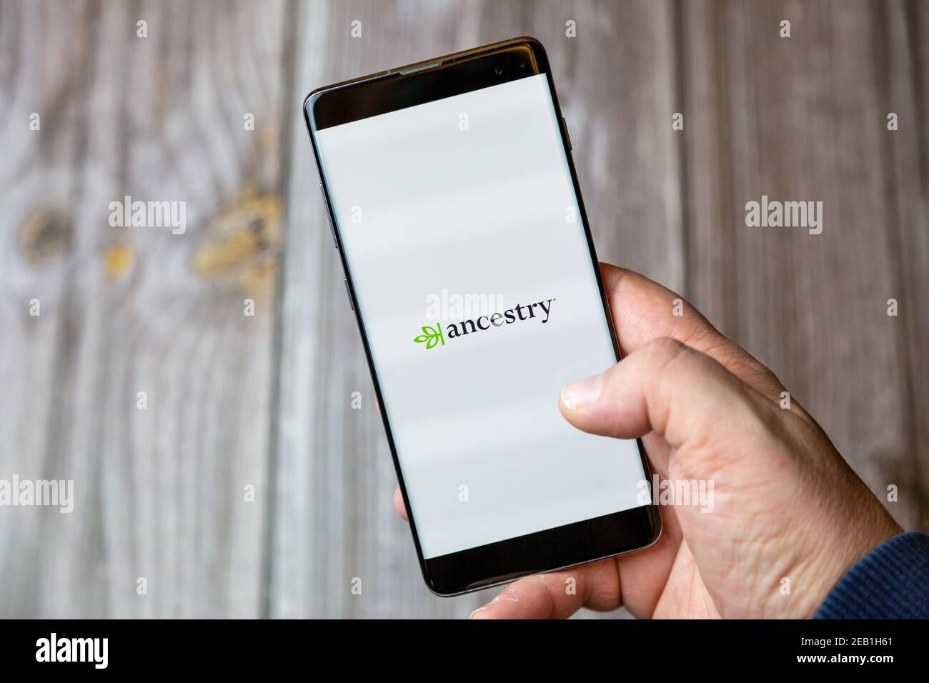 A mobile phone or cell phone being held by a hand with the Ancestry app open on screen Stock Photo
