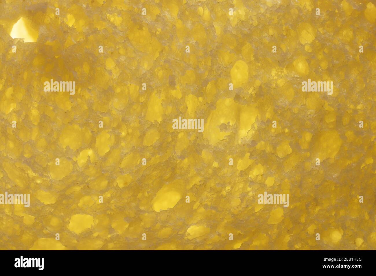 Bread crumb texture. Bakery slice filling background. Stock Photo