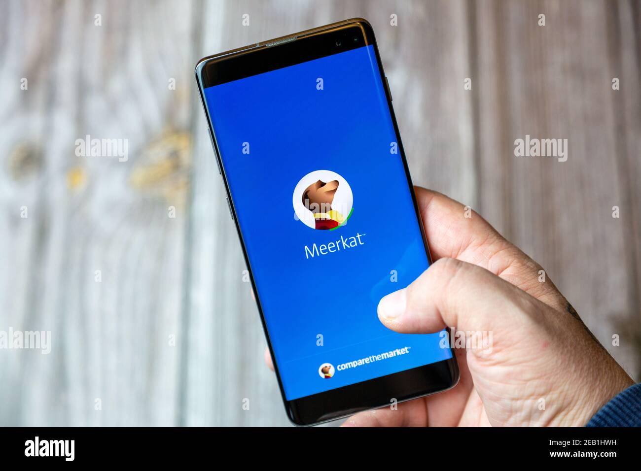 A mobile phone or cell phone being held by a hand with the Compare the market app open on screen Stock Photo