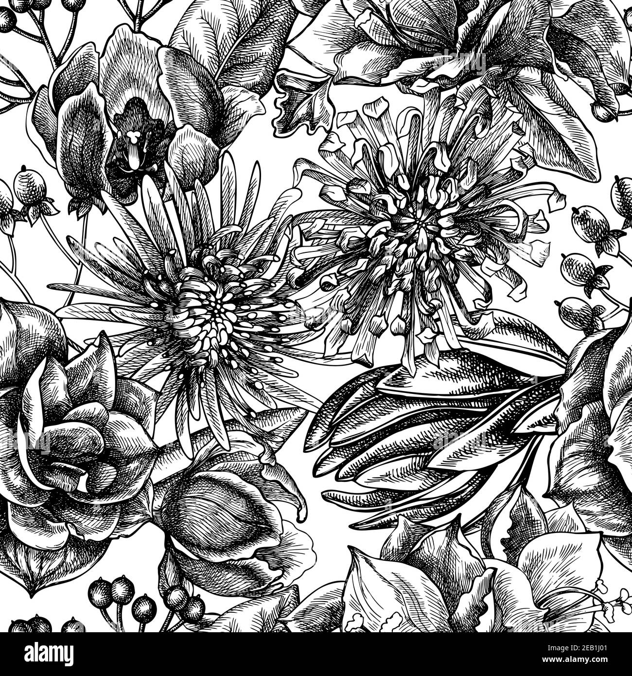Seamless pattern with black and white viburnum, hypericum, tulip, aster, leucadendron, amaryllis Stock Vector