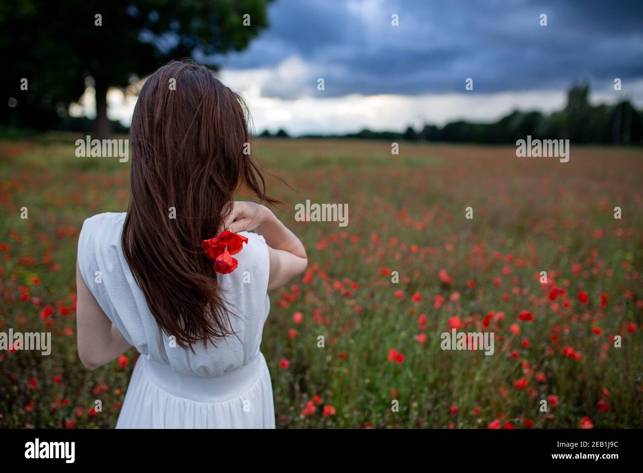 A beautiful young woman in a white dress walks around a field with ...