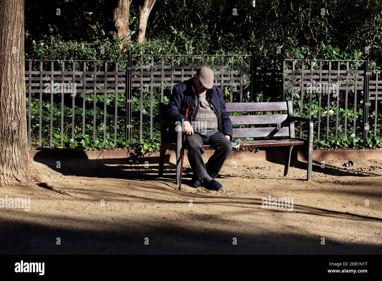 Old man sat on park bench, Barcelona, Spain. Stock Photo