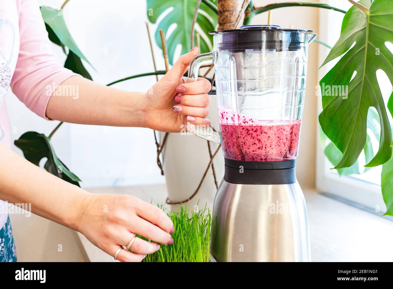 A woman mixes a delicious almond milk, berry and herbs smoothie in a blender. Stock Photo
