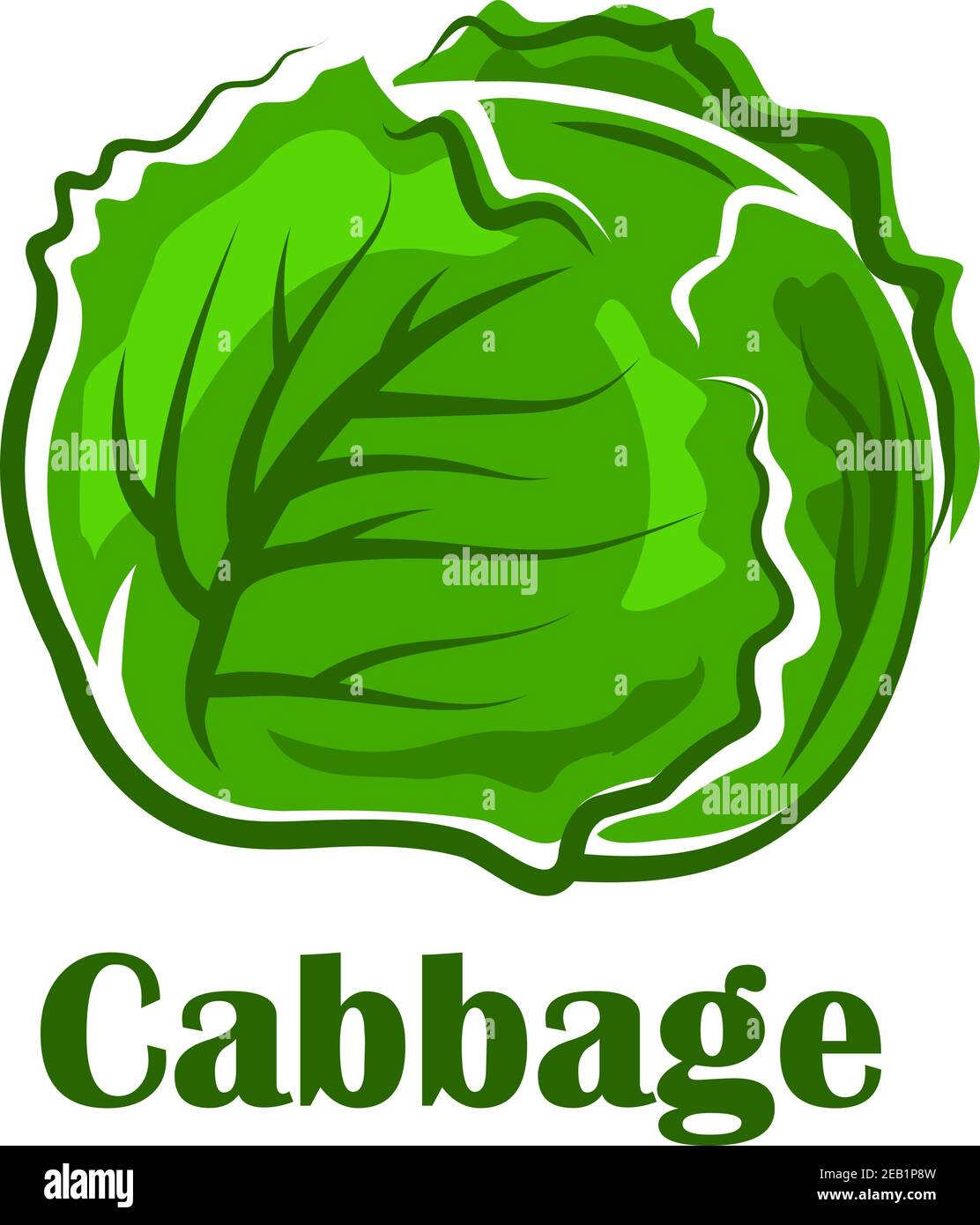 Cabbage - \