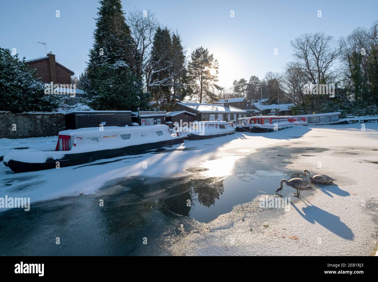 Linlithgow Union canal basin frozen over, Manse road, Linlithgow. Stock Photo