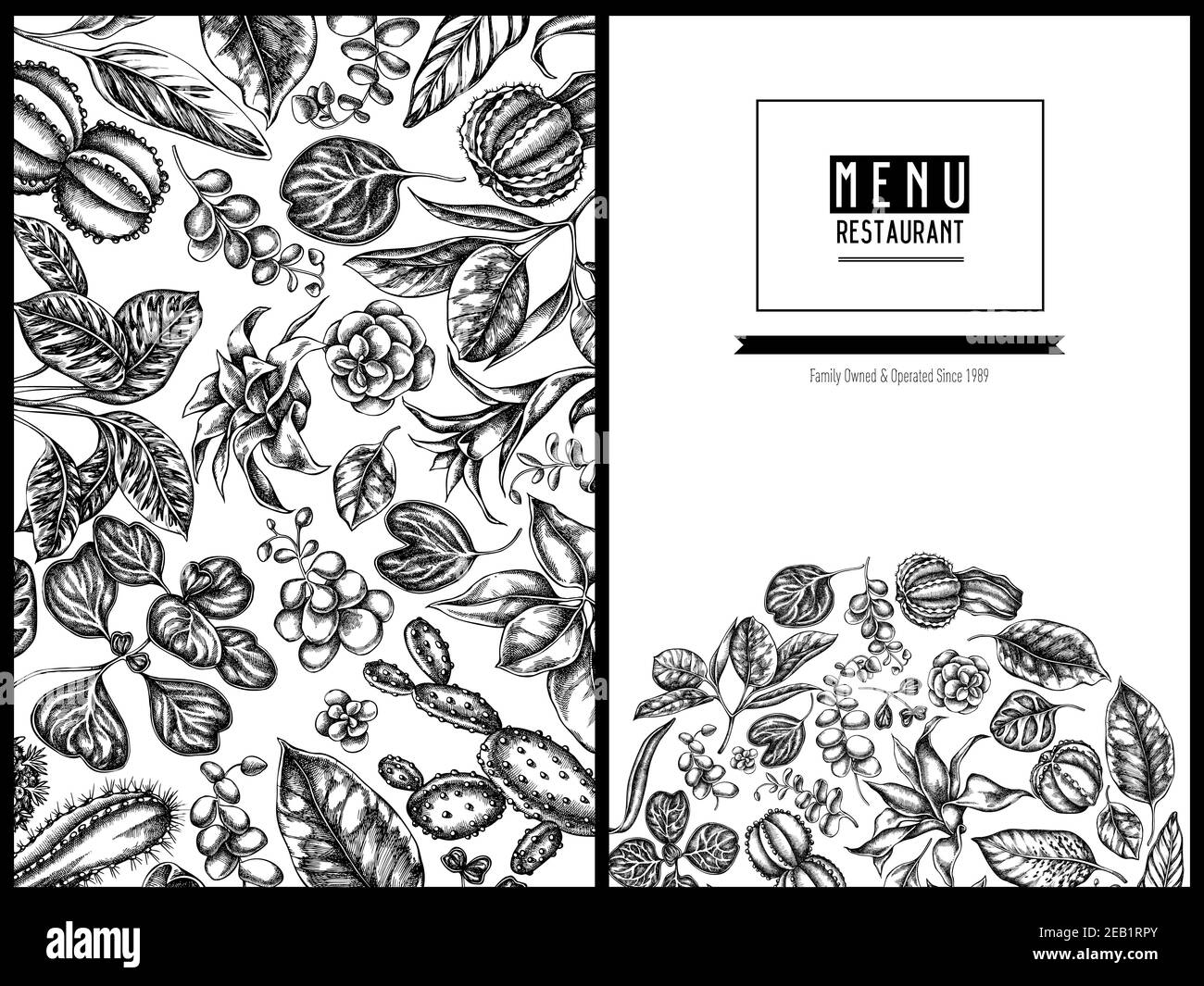 Menu cover floral design with black and white ficus, iresine, kalanchoe, calathea, guzmania, cactus Stock Vector