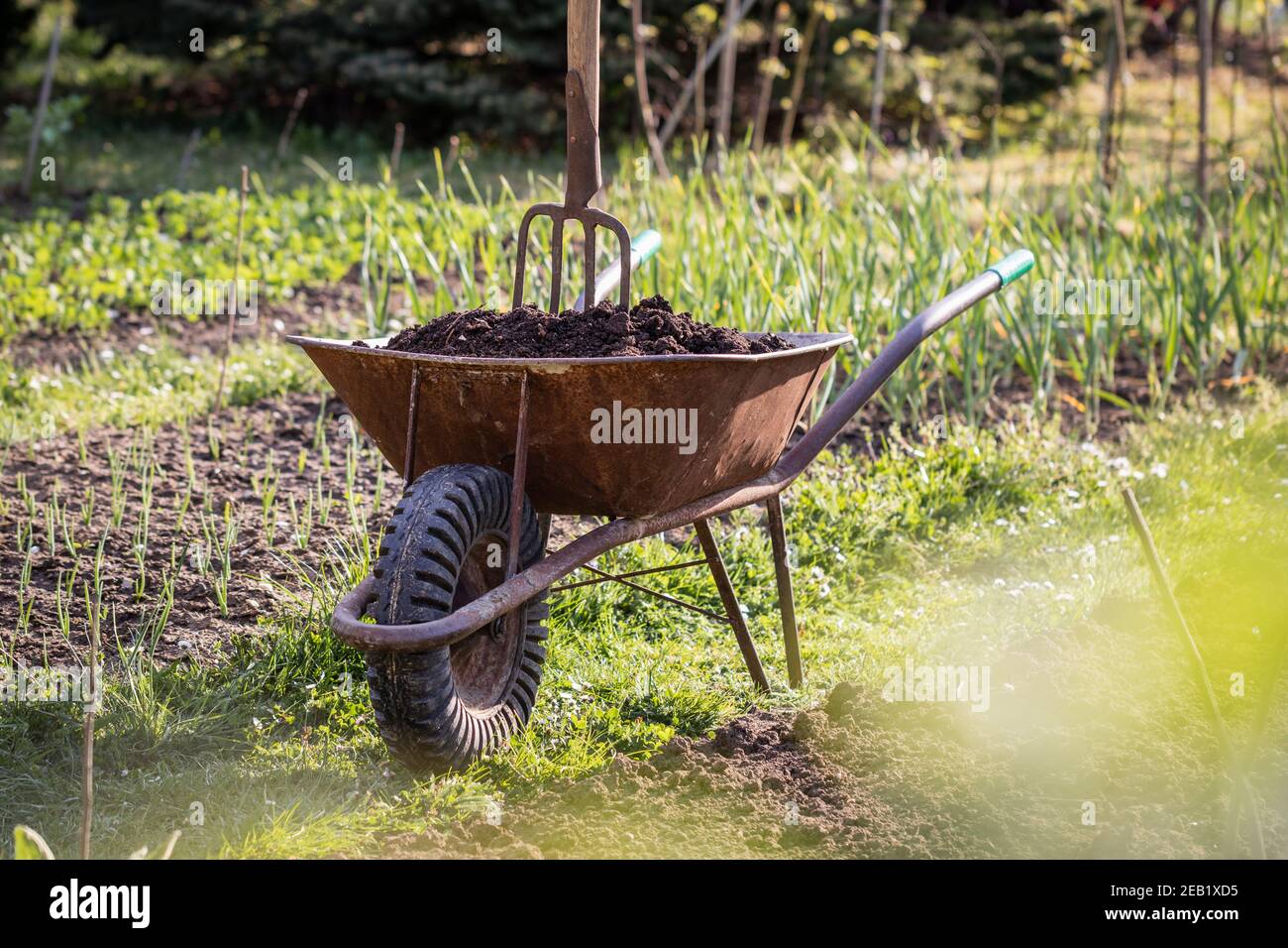 Wheelbarrow vegetable garden gardening hires stock photography and