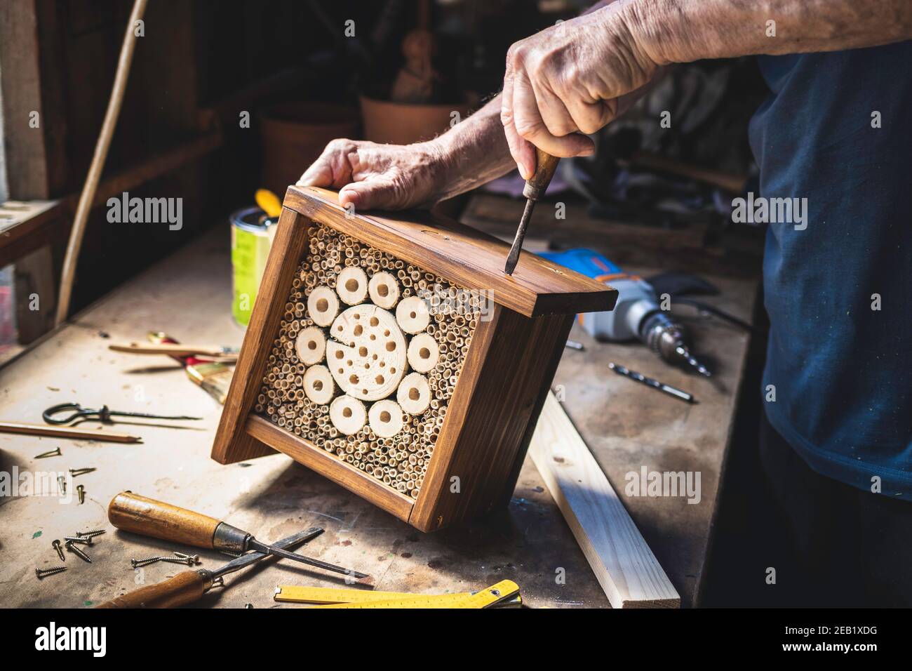 Man making wooden insect hotel. Craftsperson working in his workshop. Carpenter using screwdriver. Craft product Stock Photo