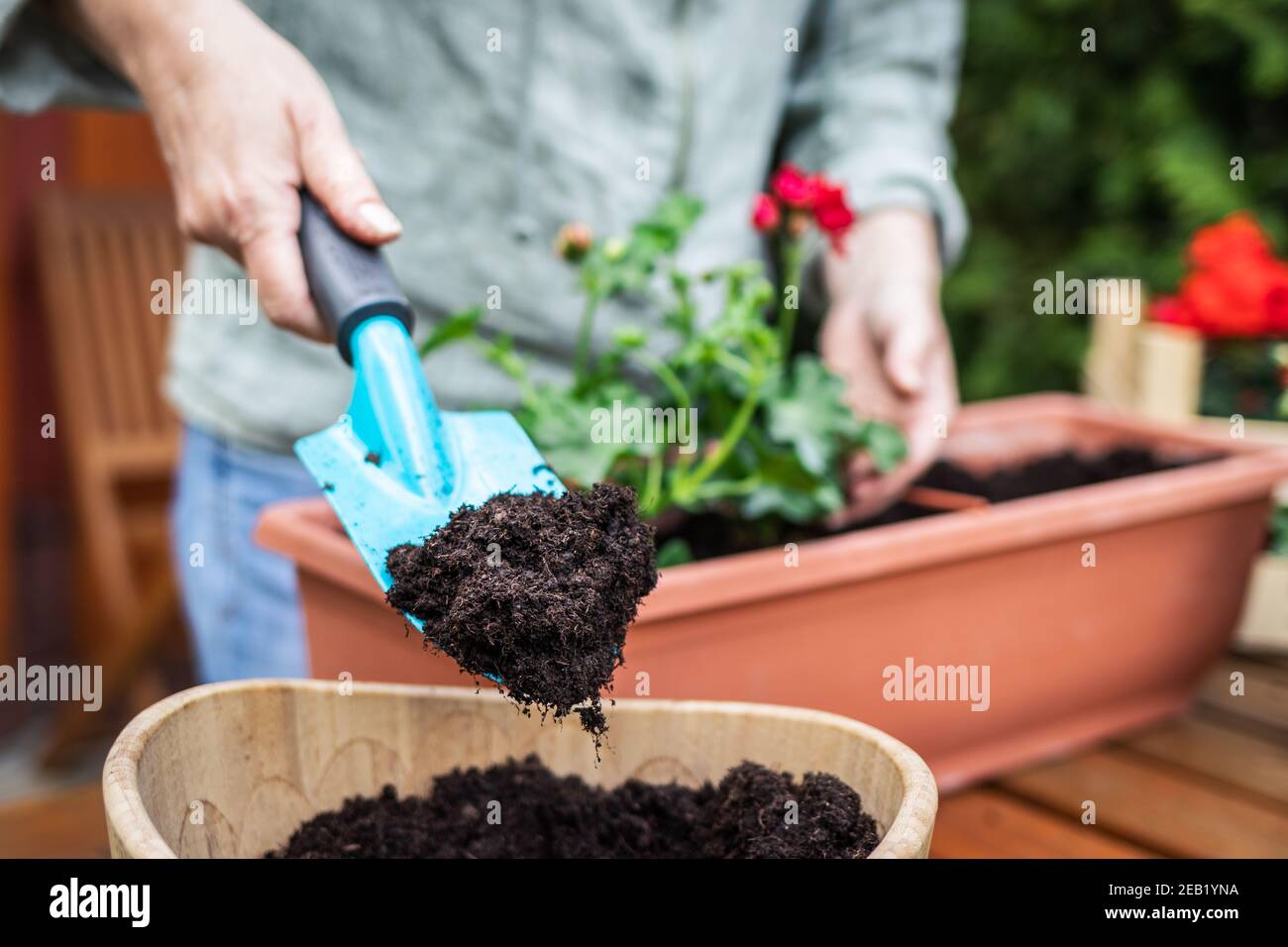 Woman putting soil or compost into flowerpot by shovel. Florist