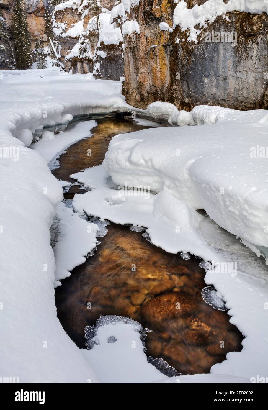 Yellowstone National Park, WY: Flowing water in Pebble Creek in Pebble Creek Canyon Stock Photo