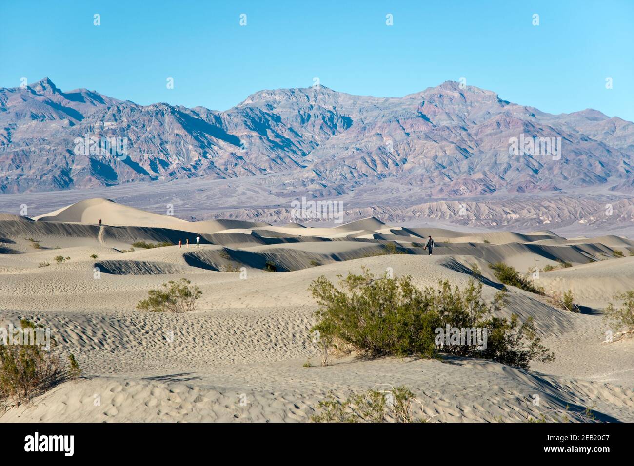 the-mesquite-flats-sand-dunes-at-the-north-end-of-death-valley-national