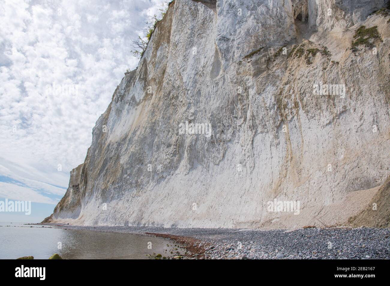 Moens klint chalk cliffs in Denmark on a summer day Stock Photo